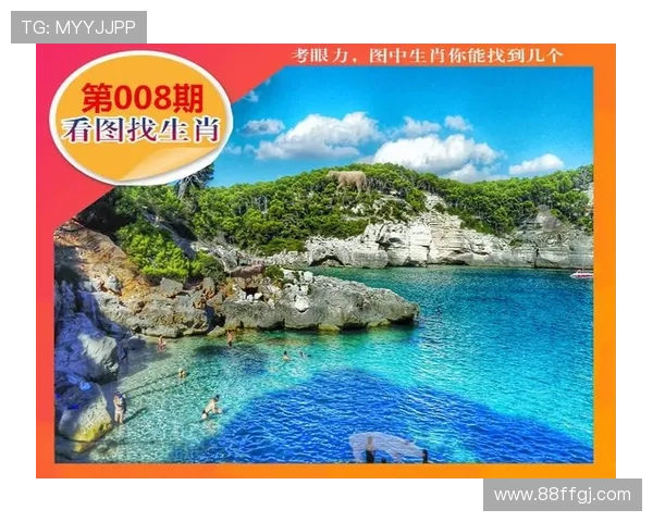 地方生肖开奖最新结果与查询指南